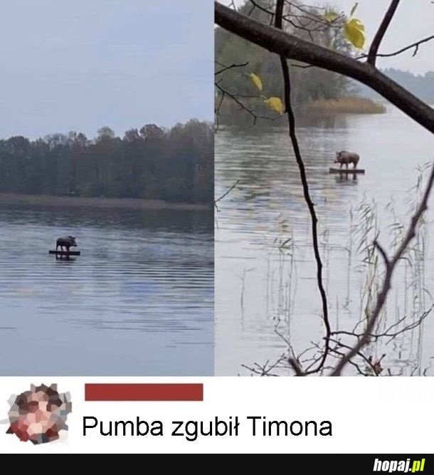Szuka