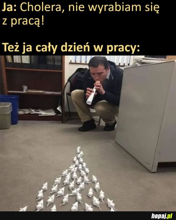 Ja w pracy