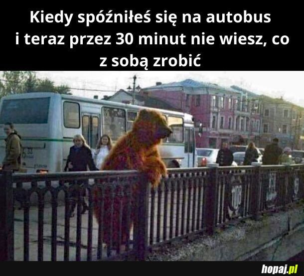 Za mało czasu, by gdzieś pójść, za dużo, by siedzieć na przystanku