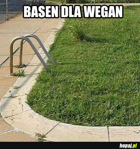WEGANIE GO UWIELBIAJĄ
