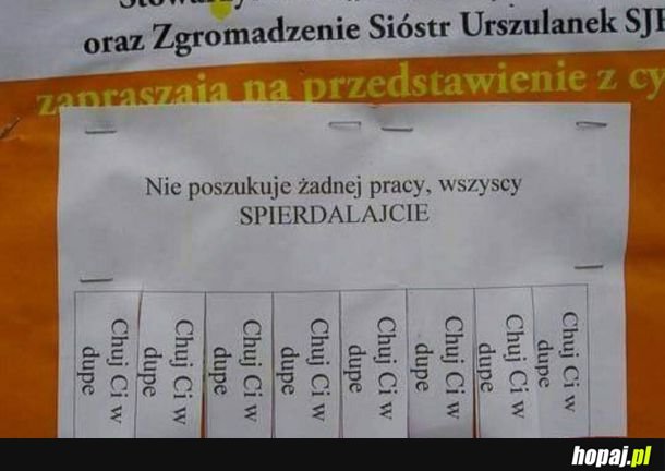 Ciekawe ogłoszenie 