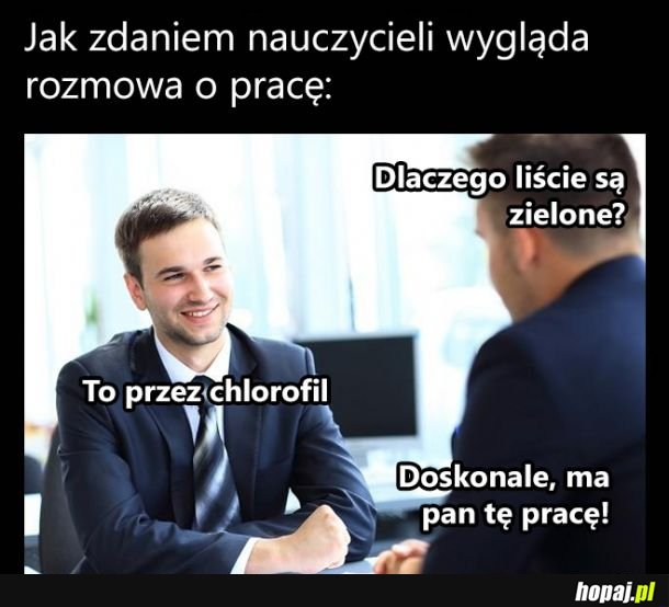 Chciałbym...