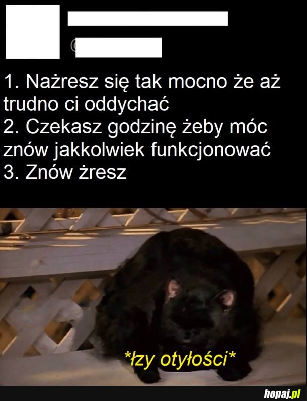 Święta, sylwester, normalka