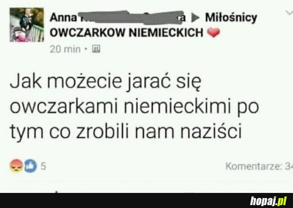 Jak można lubić owczarki