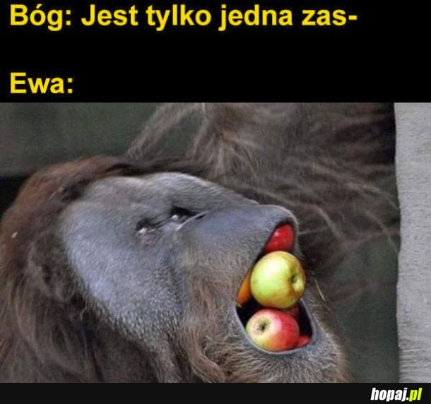 Tak było