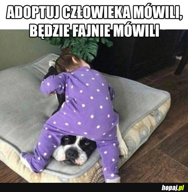 ADOPCJA CZŁOWIEKA