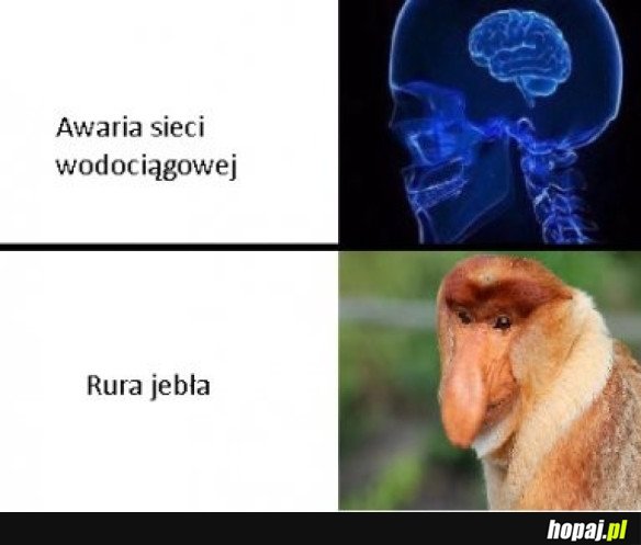 TYPOWY JANUSZ