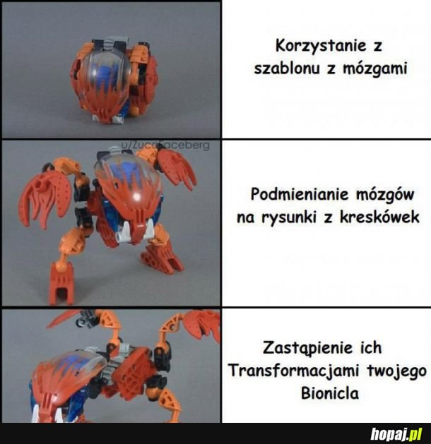 Szablon z mózgami