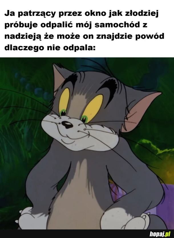 Jestem ciekawy