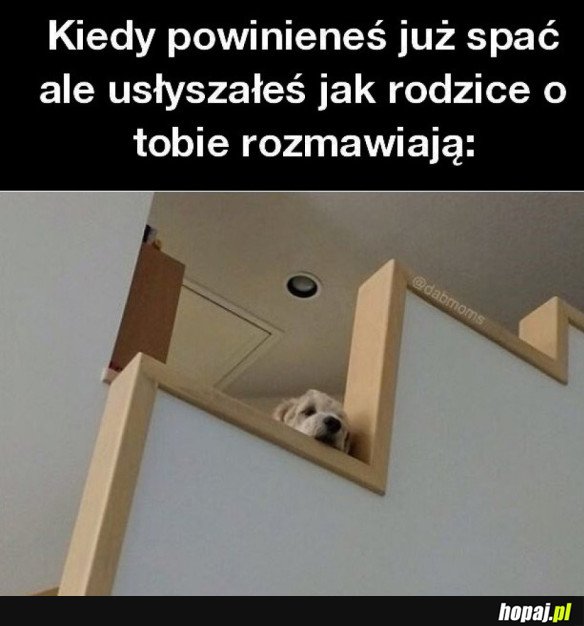 KIEDY USŁYSZAŁEŚ RODZICÓW