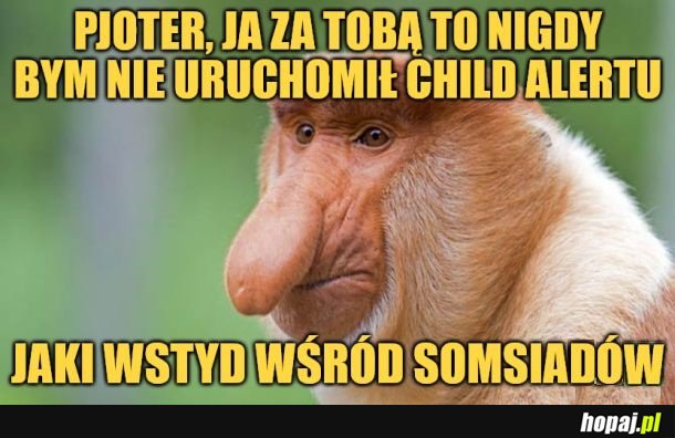 Wstyd.