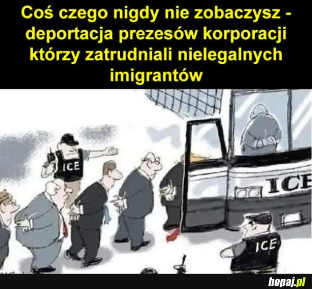 W tym temacie cisza