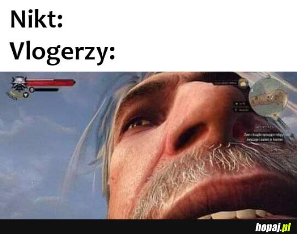 Vlogi