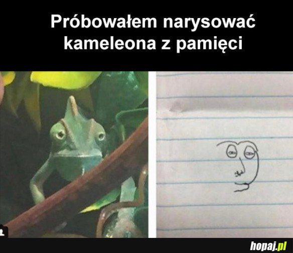 COŚ POSZŁO NIE TAK
