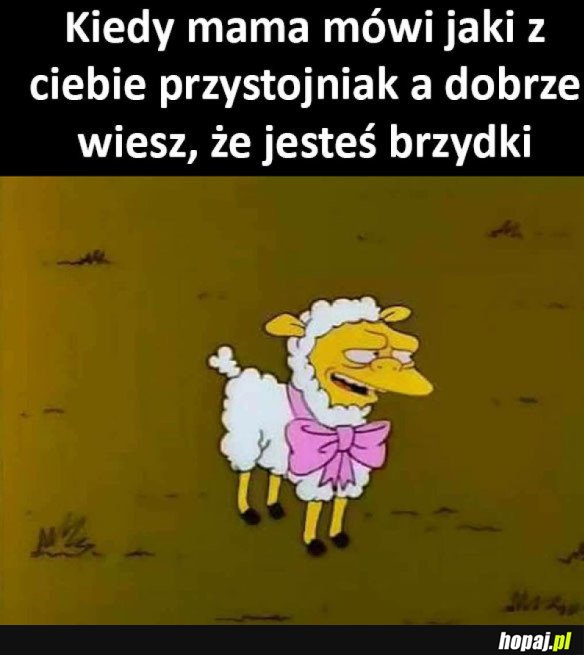 ZNASZ PRAWDĘ