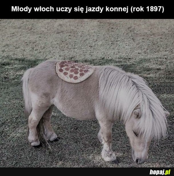 MŁODY WŁOCH