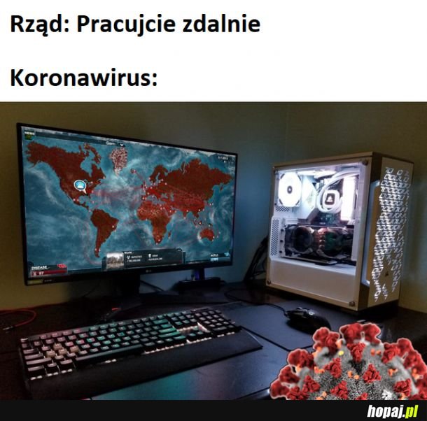 Koronawirus też człowiek