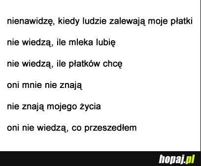 Nienawidzę