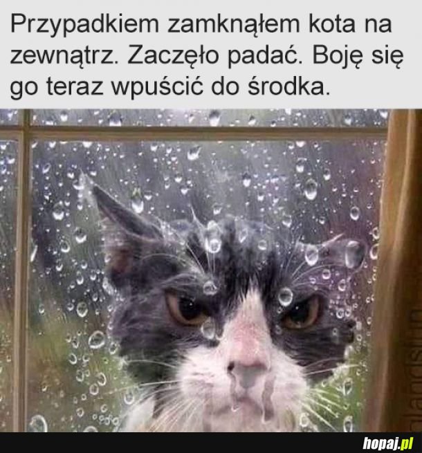 Wpuść mnie