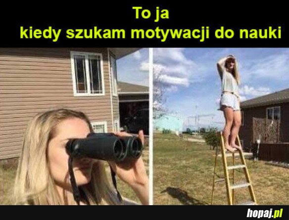 Nauka