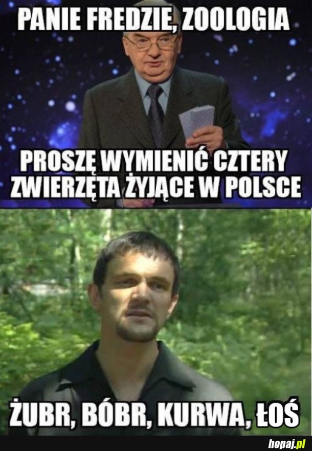 CZTERY ZWIERZĘTA ŻYJĄCE W POLSCE