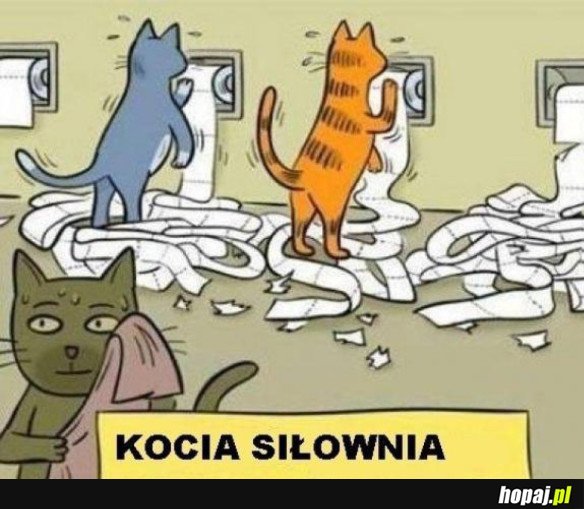 KOCIA SIŁOWNIA