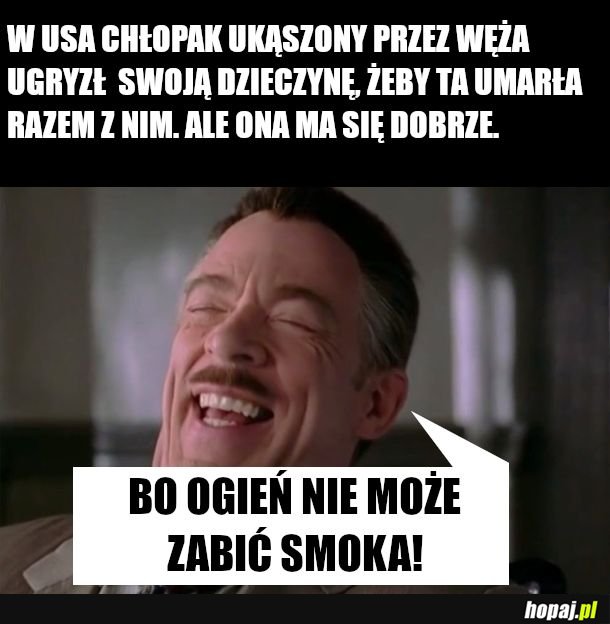 ŻMIJE 