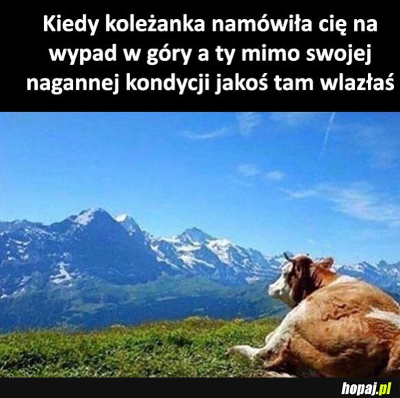 Jednak dałam radę