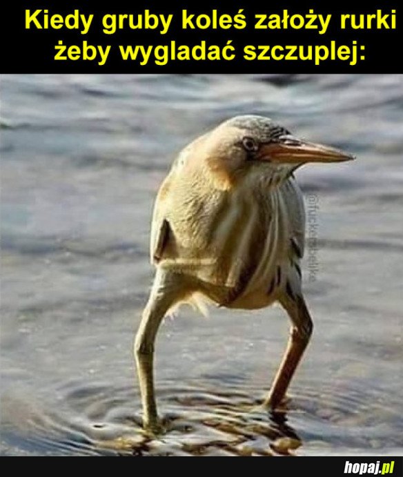 Tak to widzę