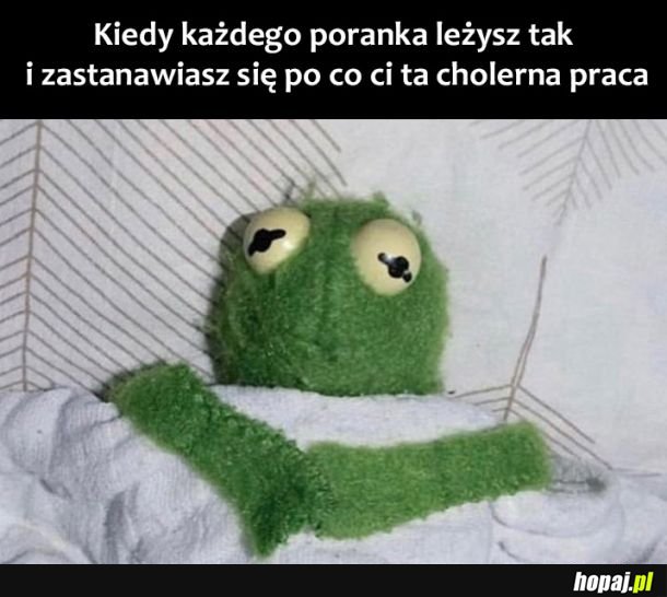 Każdego poranka 