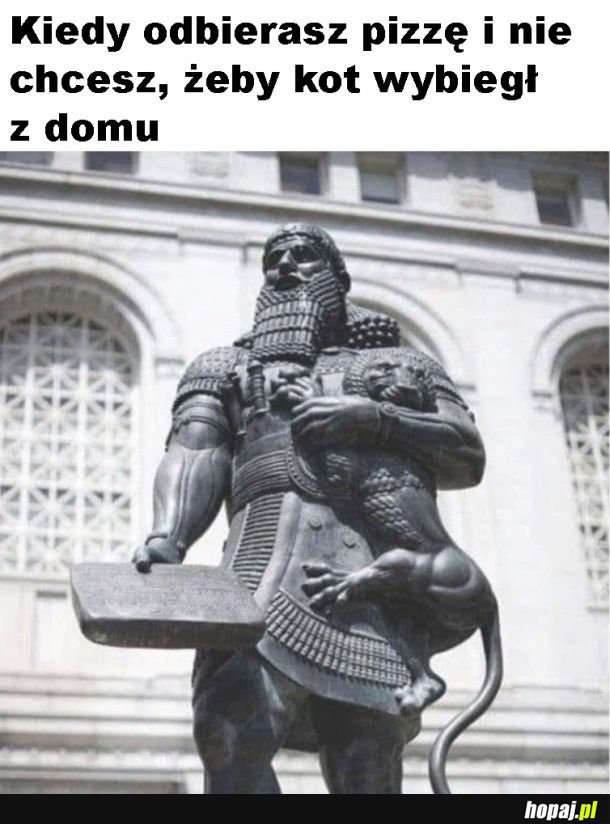 Tak to wygląda