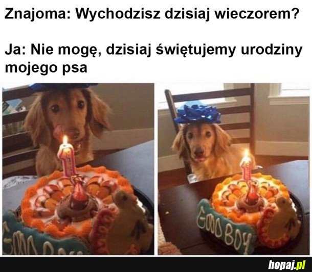 MAM PLANY NA WIECZÓR