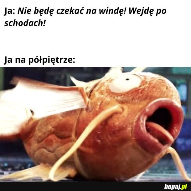 Nie wejdziesz.