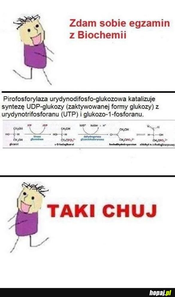 Biolchem