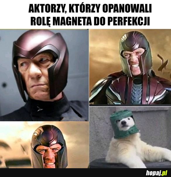 Aktorzy grający rolę Magneta