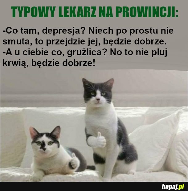  Jedyny lekarz we wsi może mieć wywalone 