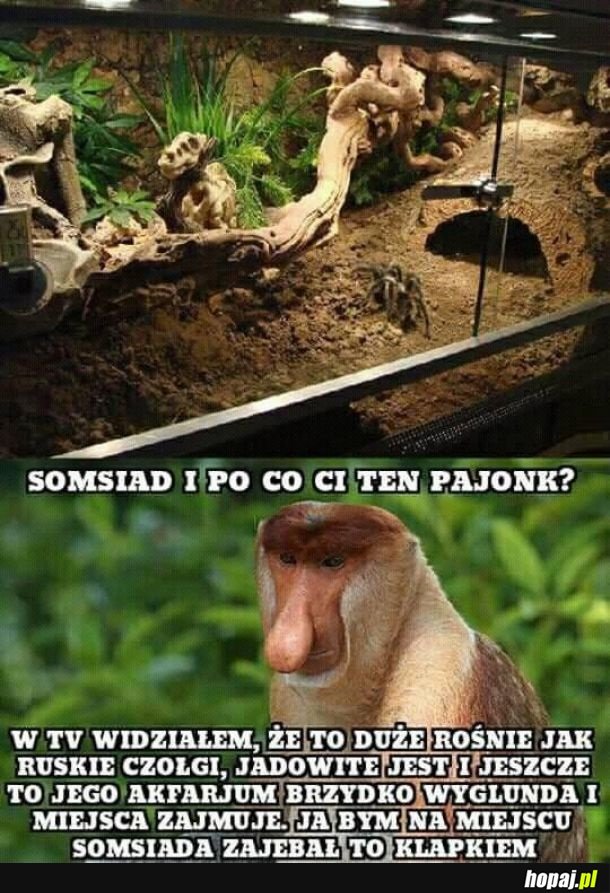 Somsiad i po co Ci to?