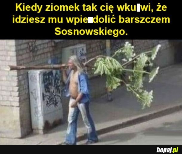 Potężna kłótnia