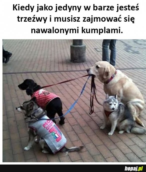 Kiedy jesteś trzeżwy