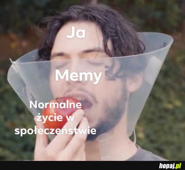 Normalne życie 