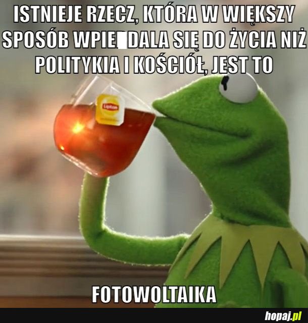 Przestańce już do mnie dzwonić!!!