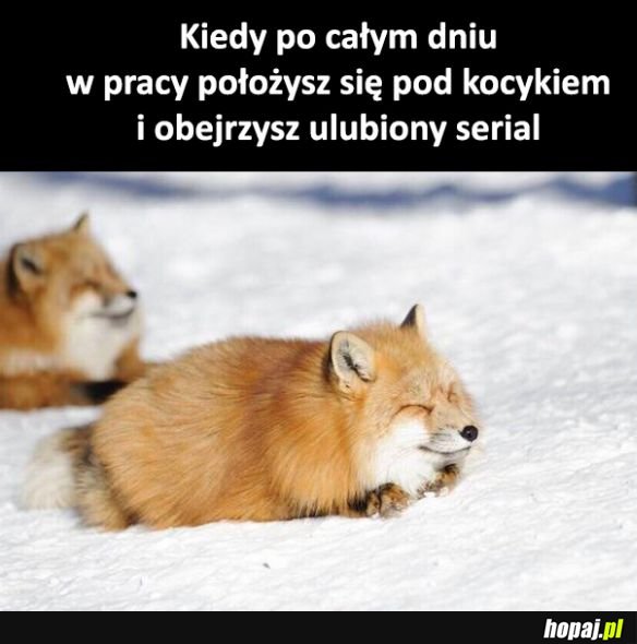 Najlepiej