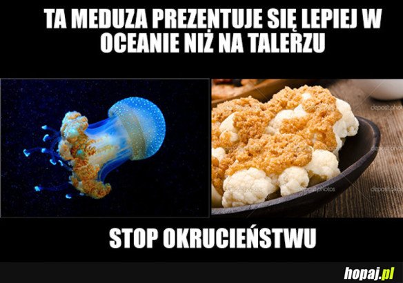 PS TO ŻARCIK, PO PRAWEJ JEST KALAFIOR