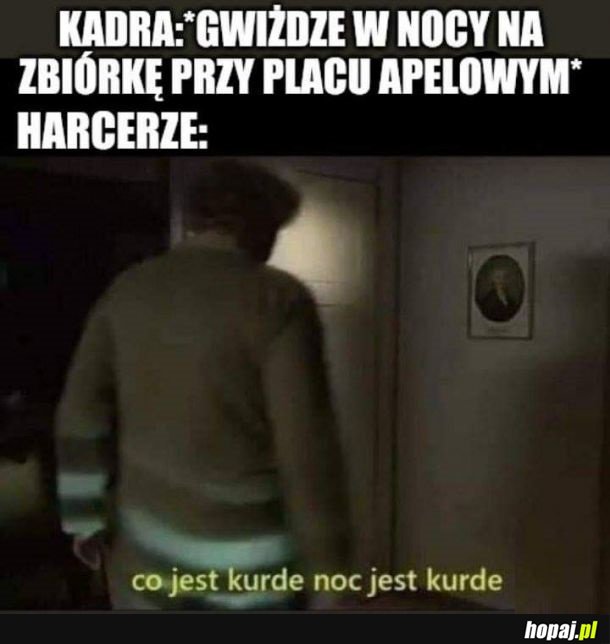 Co jest kurde