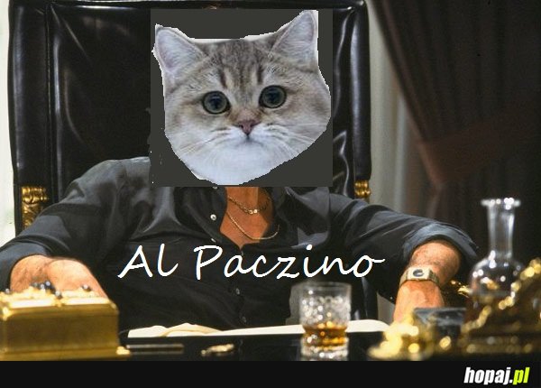 Al Paczino 