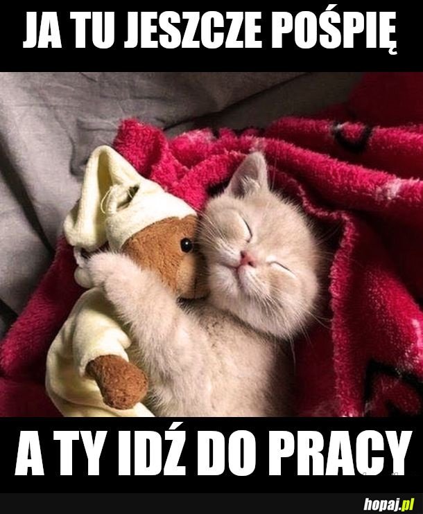 Człowiek
