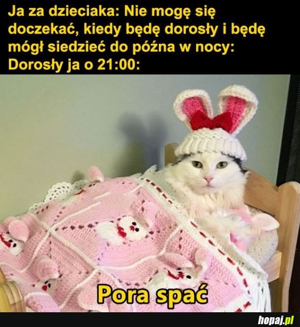 Dorosłość