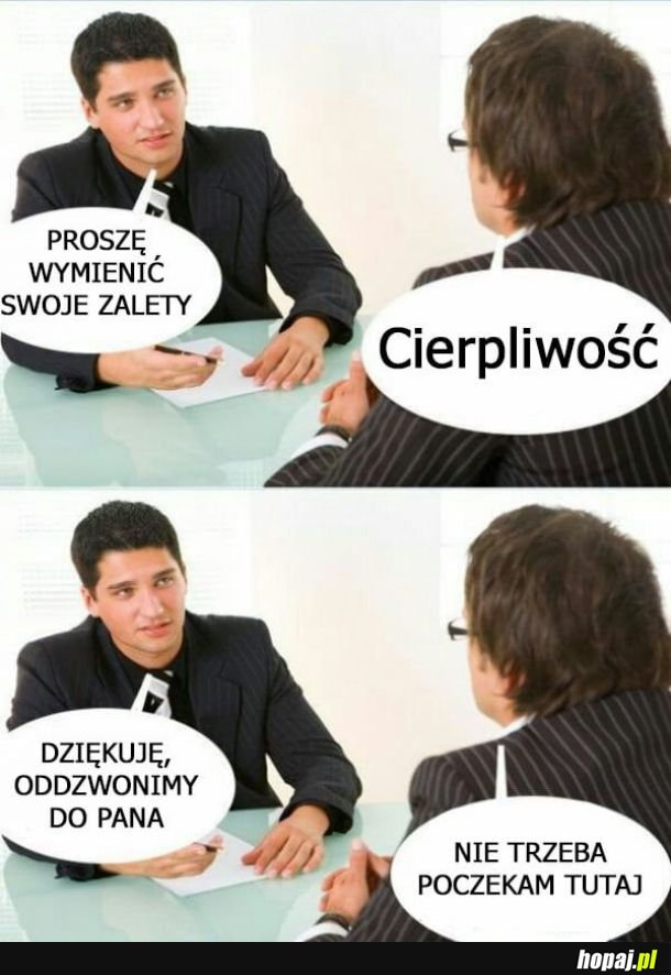 Moje zalety