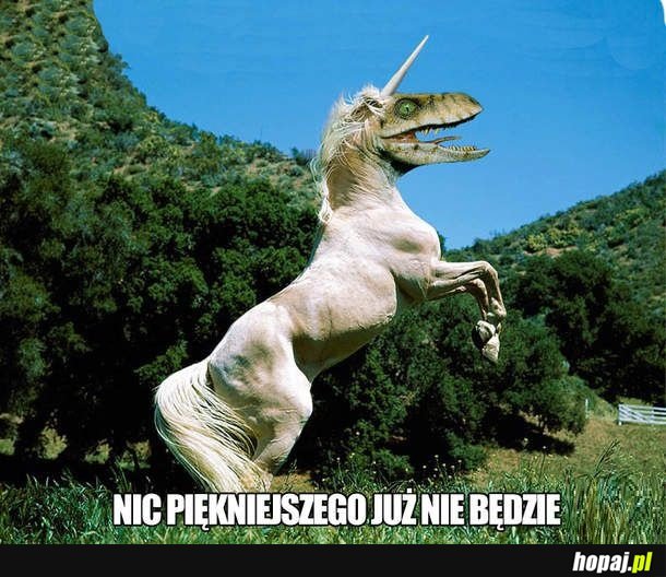 Piękne