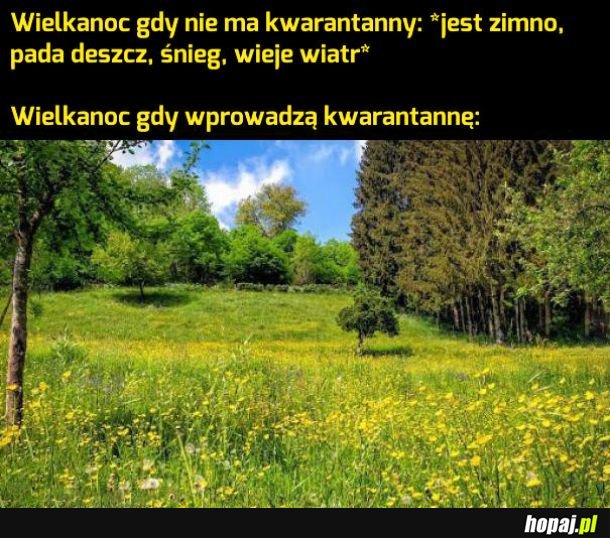 Piękna pogoda